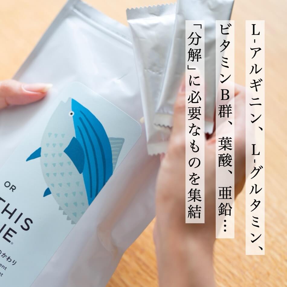 タンパク質の分解に必要なものを集結