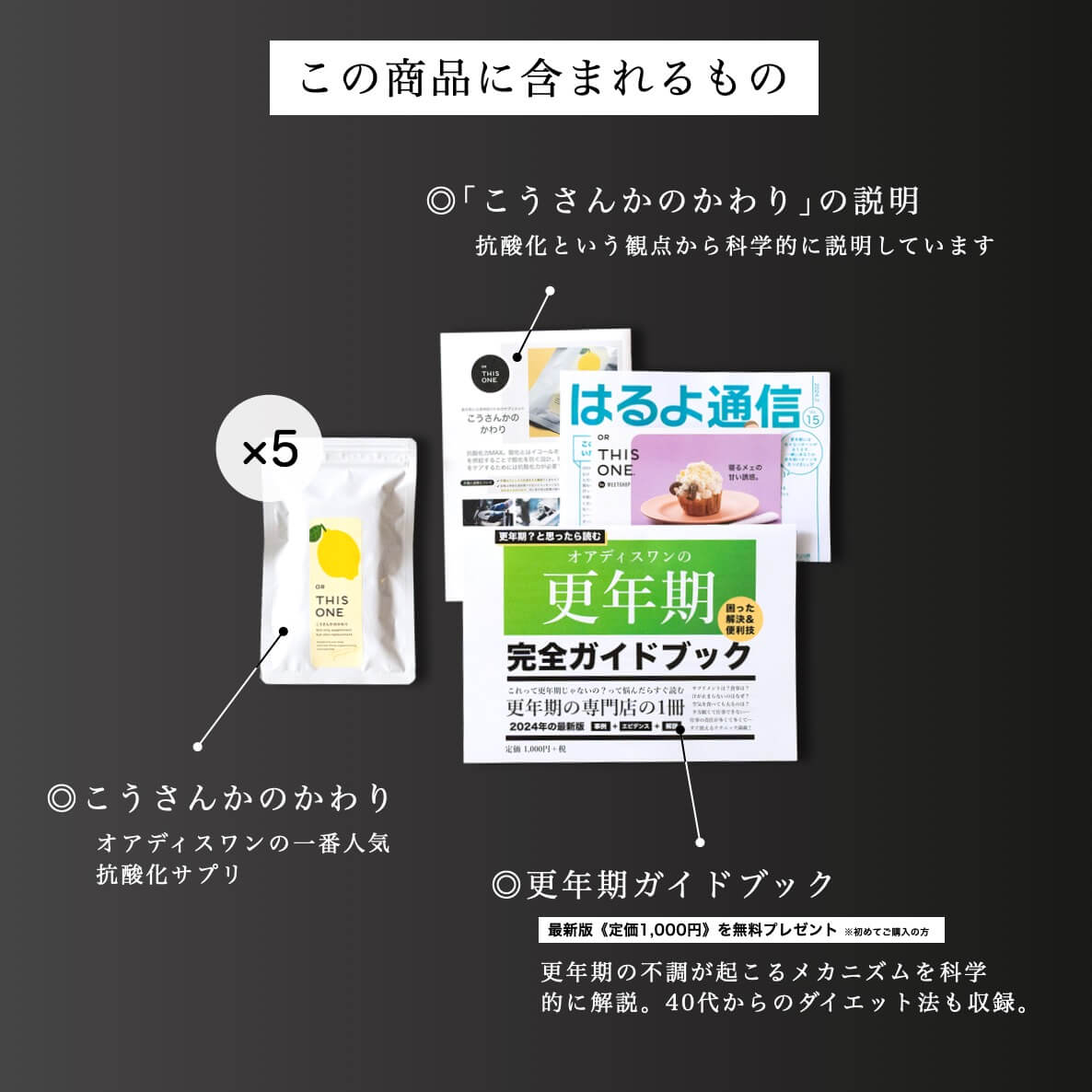 更年期専門店オアディスワンのサプリ「こうさんかのかわり」を購入したら届く商品一覧