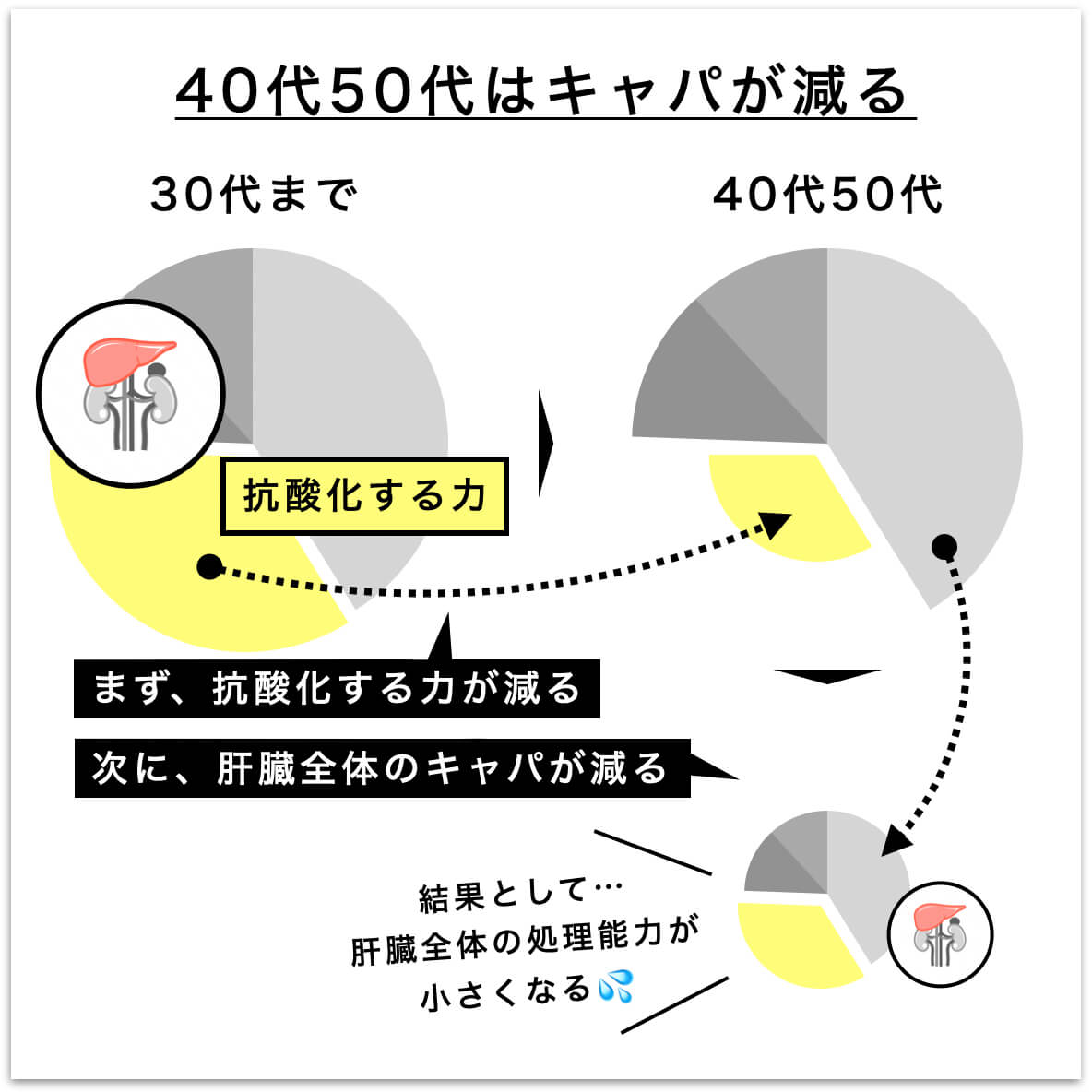 年齢と肝臓のキャパの説明の図