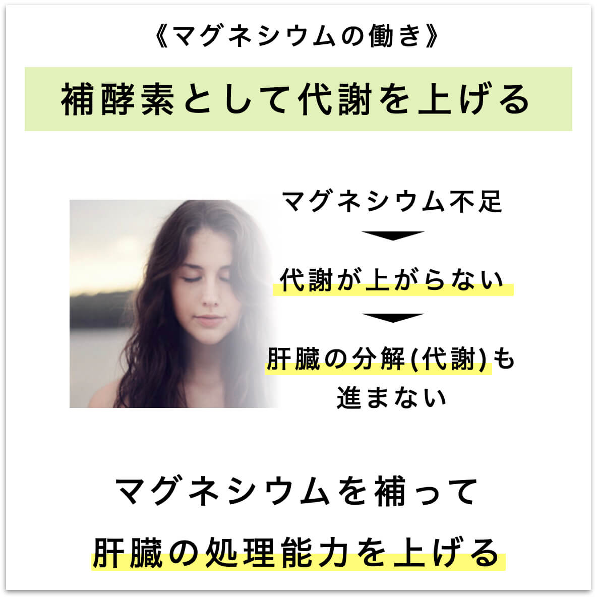 マグネシウムと肝臓の関係を説明した図