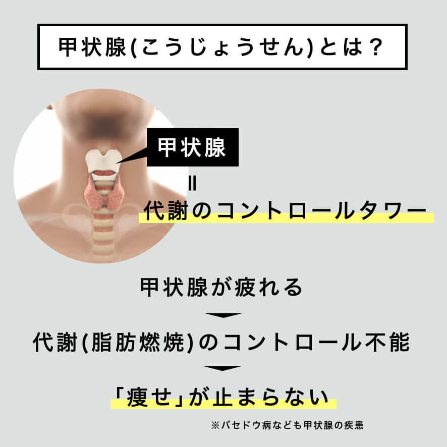 甲状腺の説明をしている図