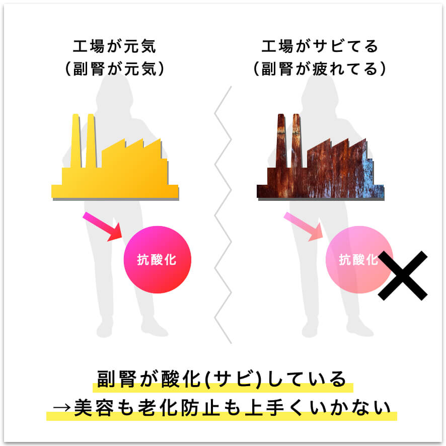 副腎が錆びるとどうなるかを解説した図