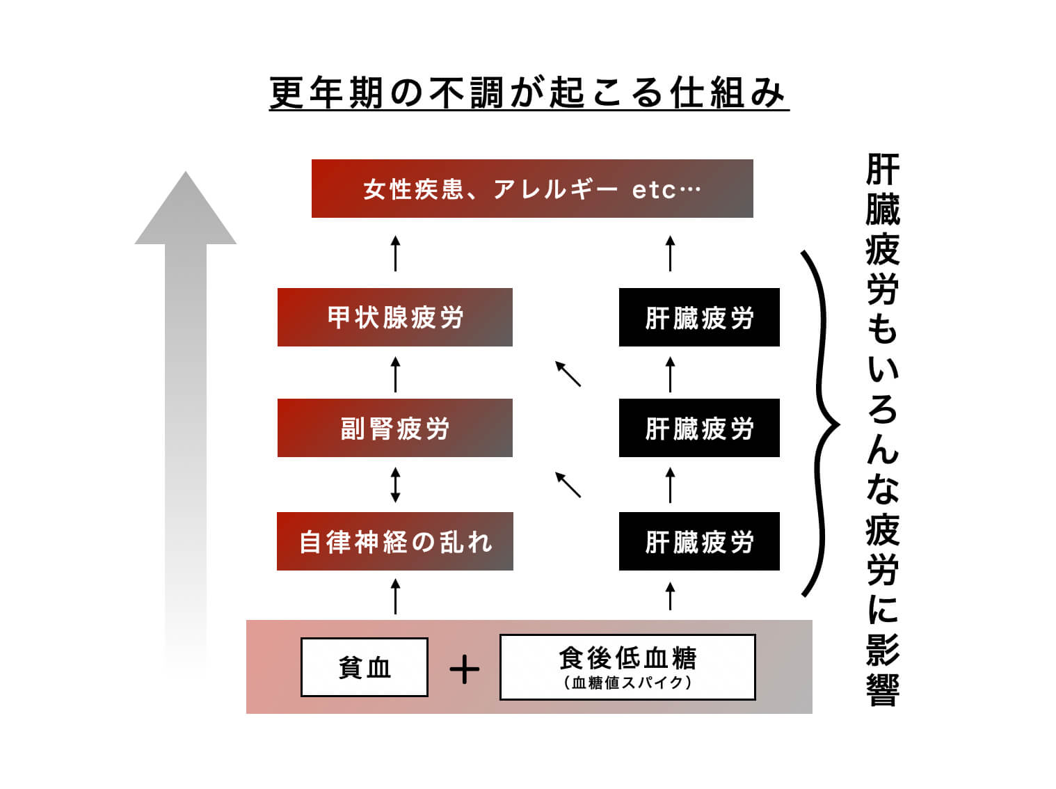 更年期の不調が起こる仕組みを示した図