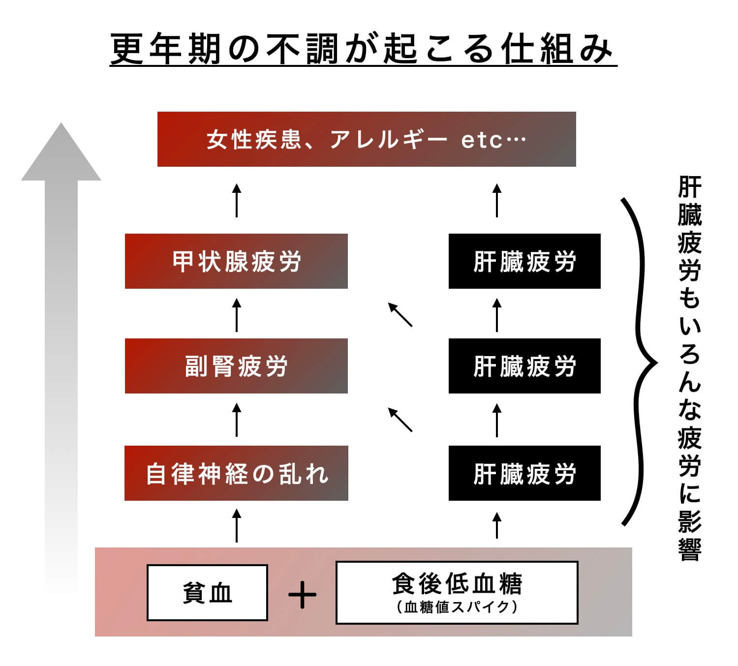 更年期の不調の仕組みを説明している図