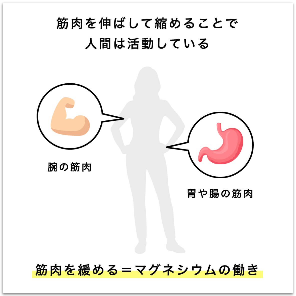 筋肉の動きの説明をしている図
