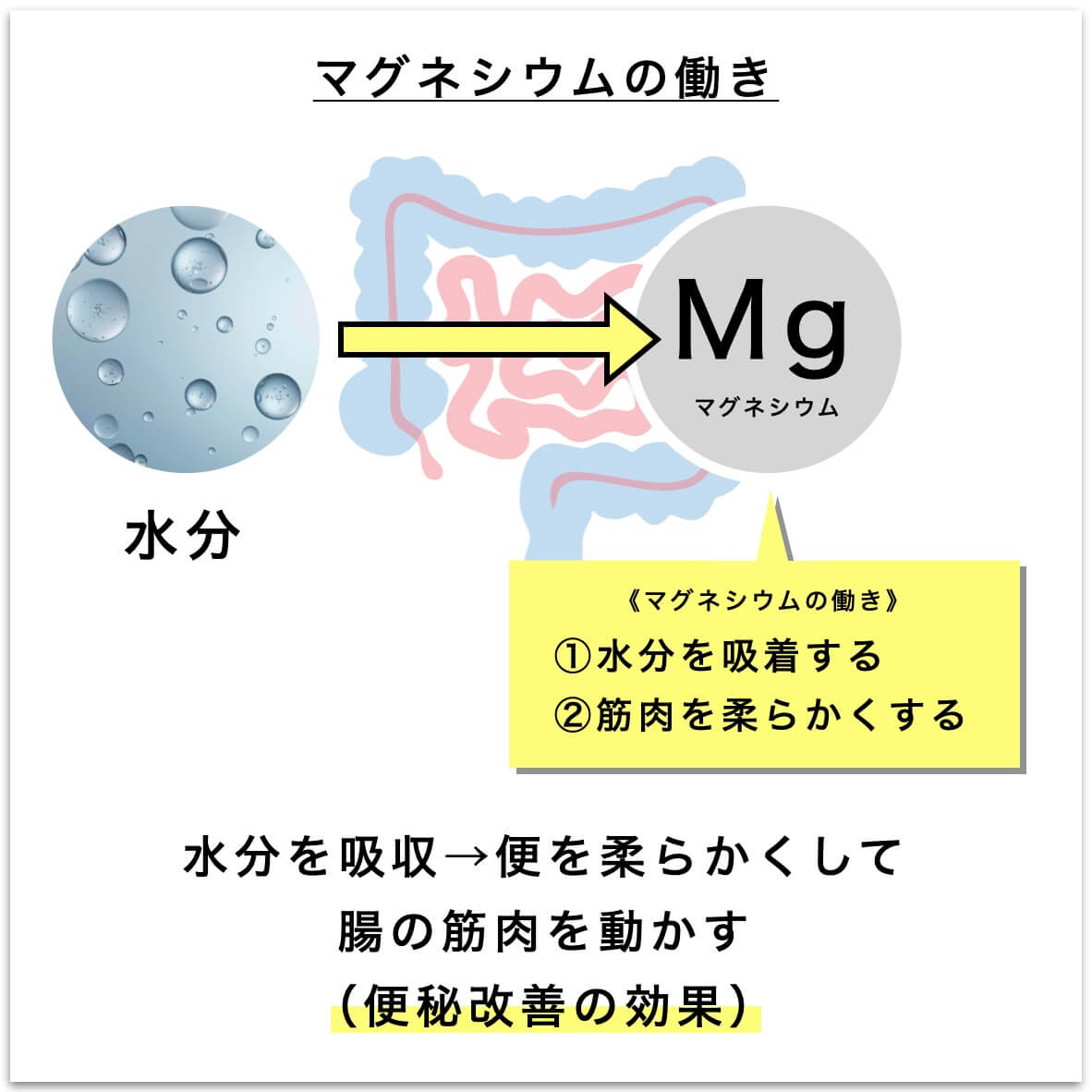 マグネシウムの働きを説明した図