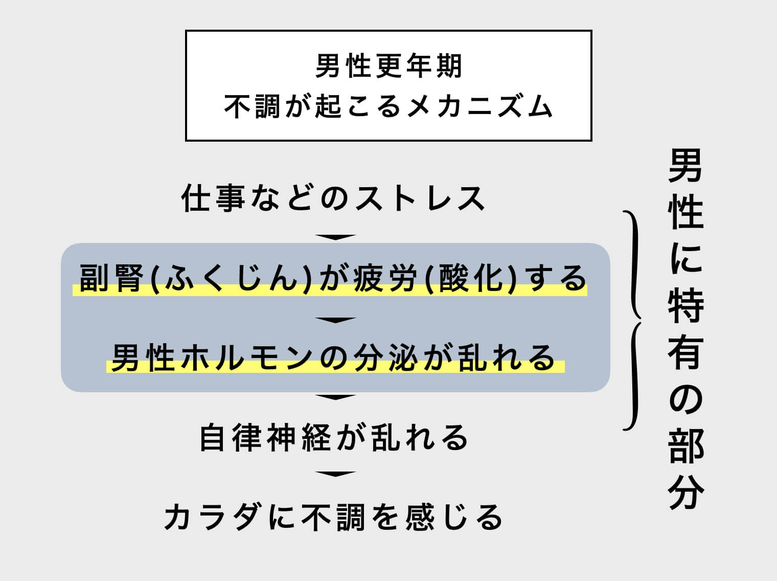 男性更年期の不調が起きるメカニズム
