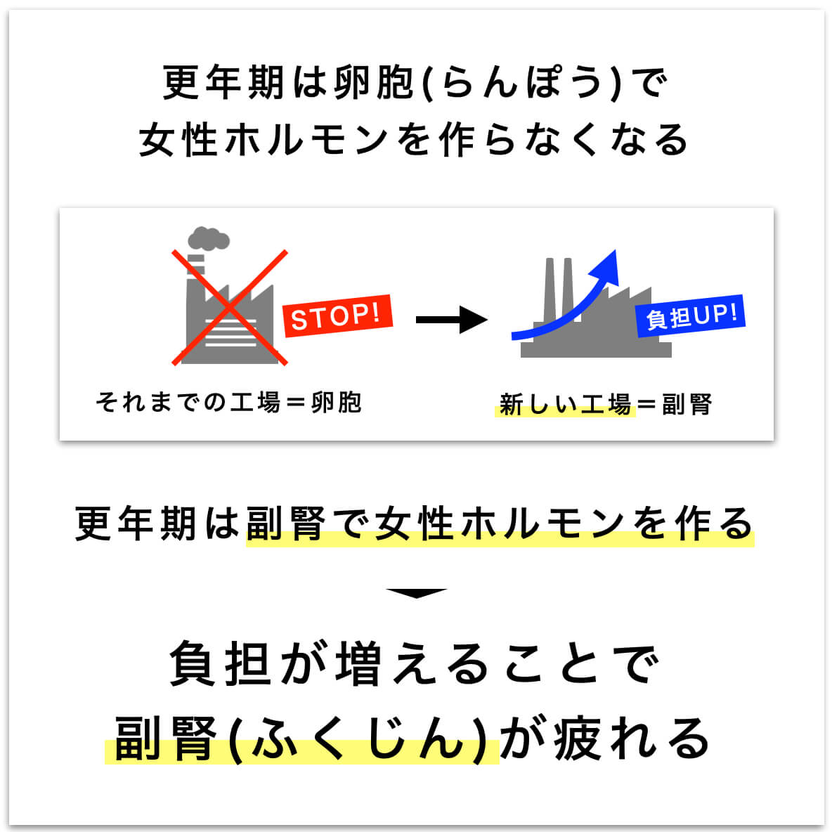副腎の説明している図