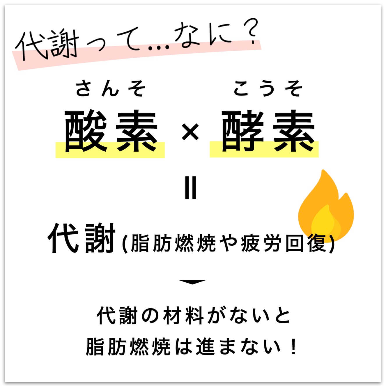 　代謝って何？ということをせつめい
