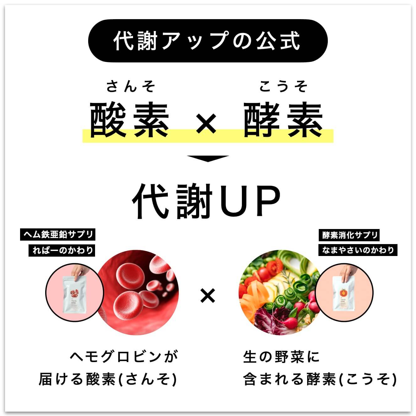 　代謝って何？ということをせつめい