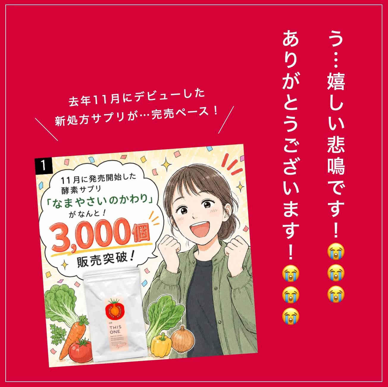 なまやさいのかわり特別セール
