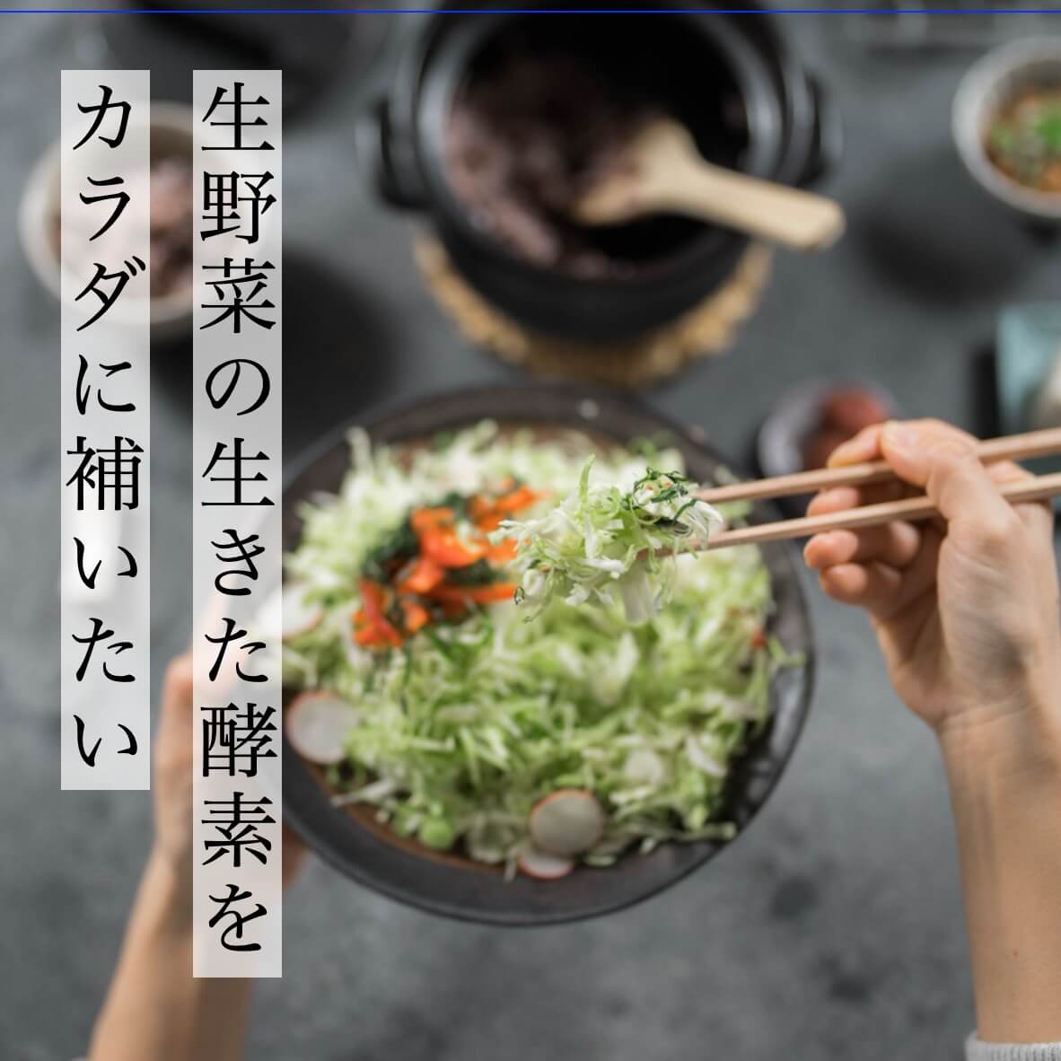 生野菜の生きた酵素をカラダに補いたい