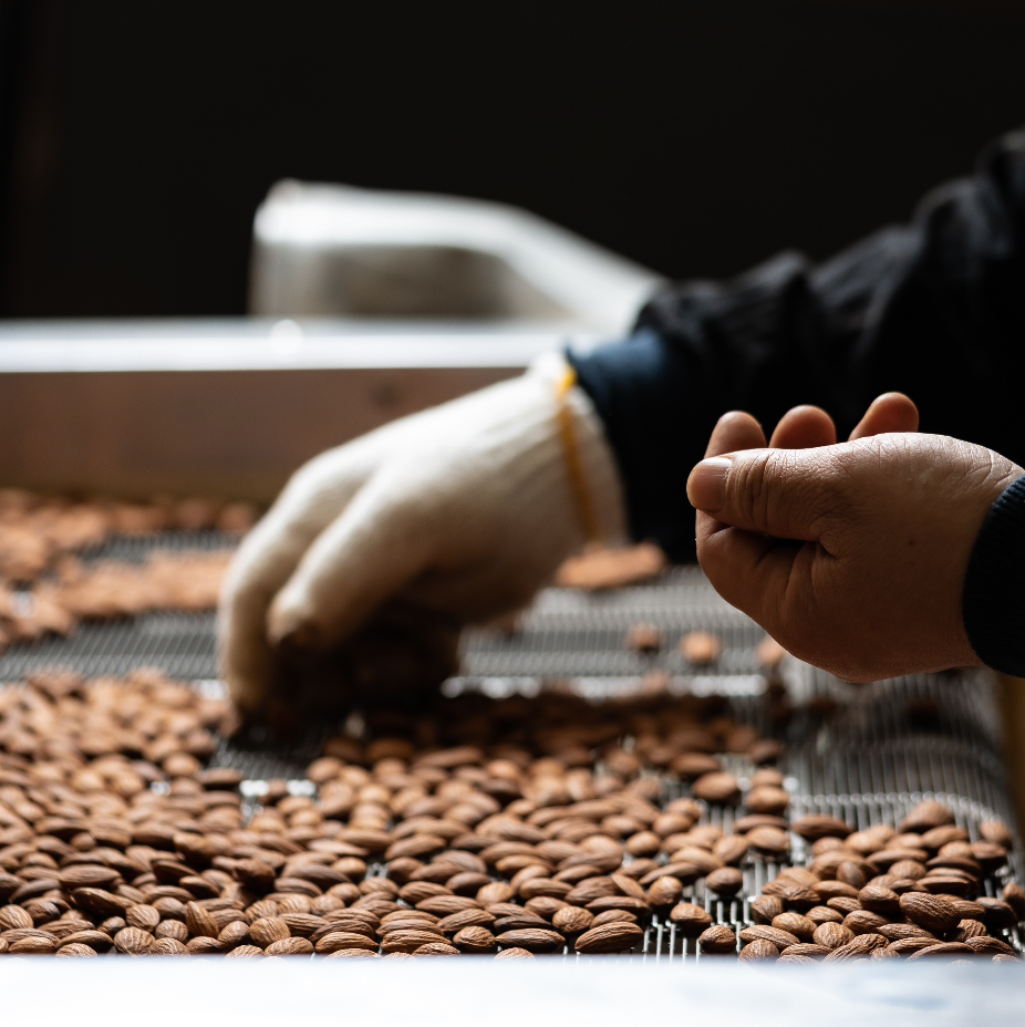 オアディスワンの体質改善のイメージ