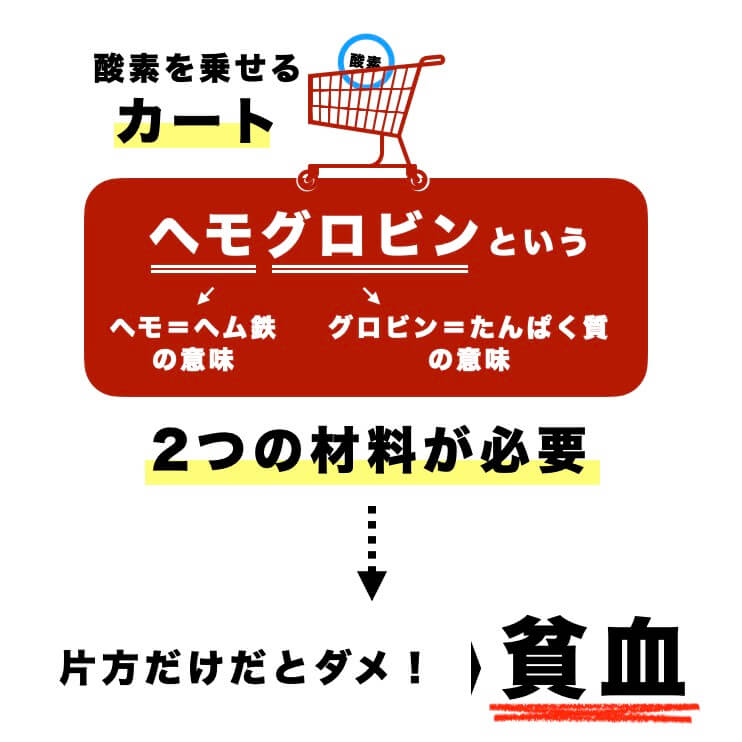 貧血改善のヘモグロビンの材料の説明をしている画像