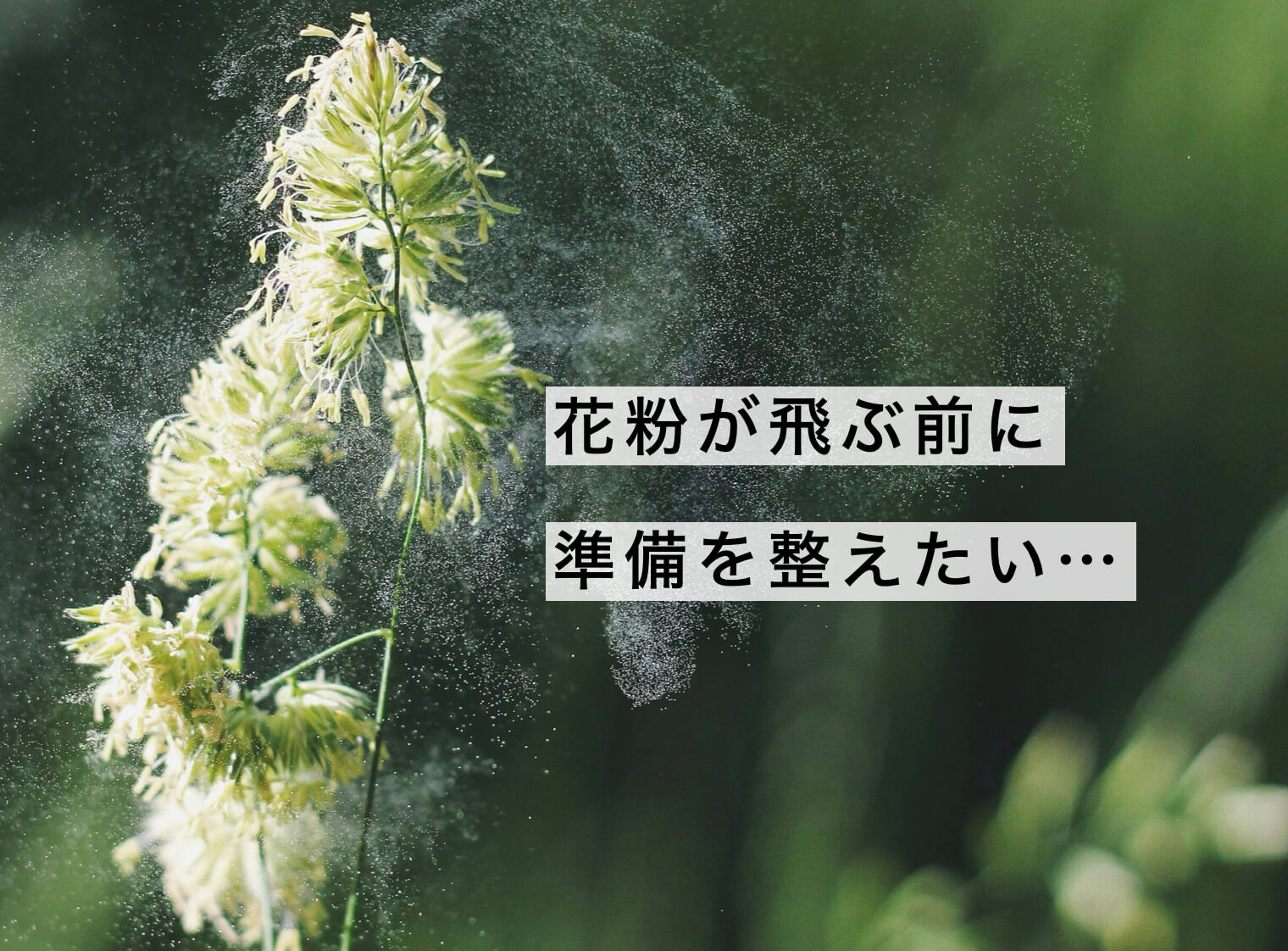 花粉が飛ぶ前から準備が必要なことを訴える写真