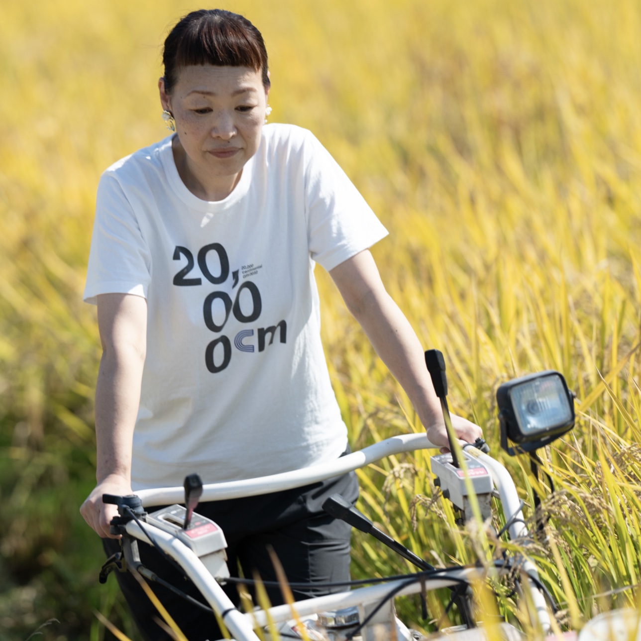 和歌山で育った無農薬無添加の黒米をつかった美味しいポン菓子のイメージ