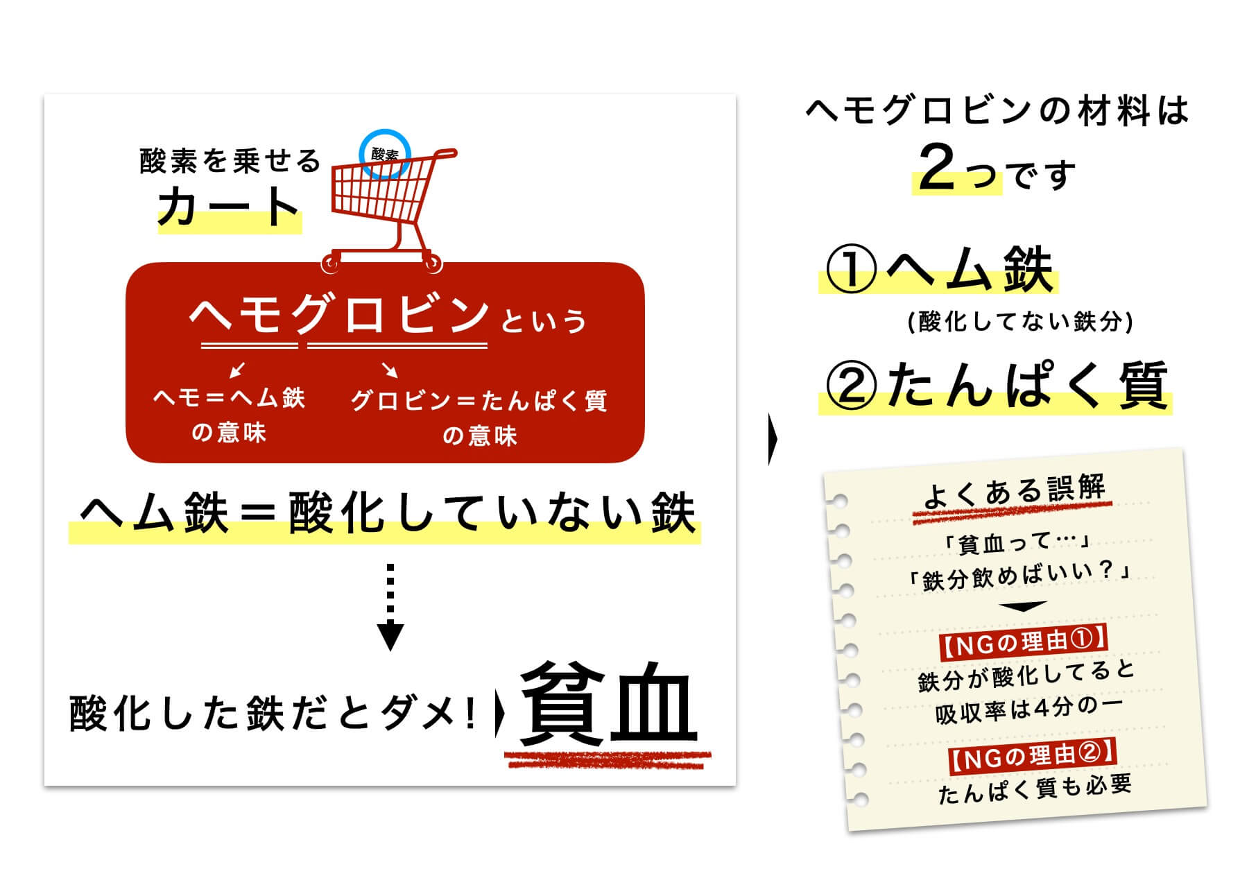 貧血はヘモグロビン不足のことだと説明
