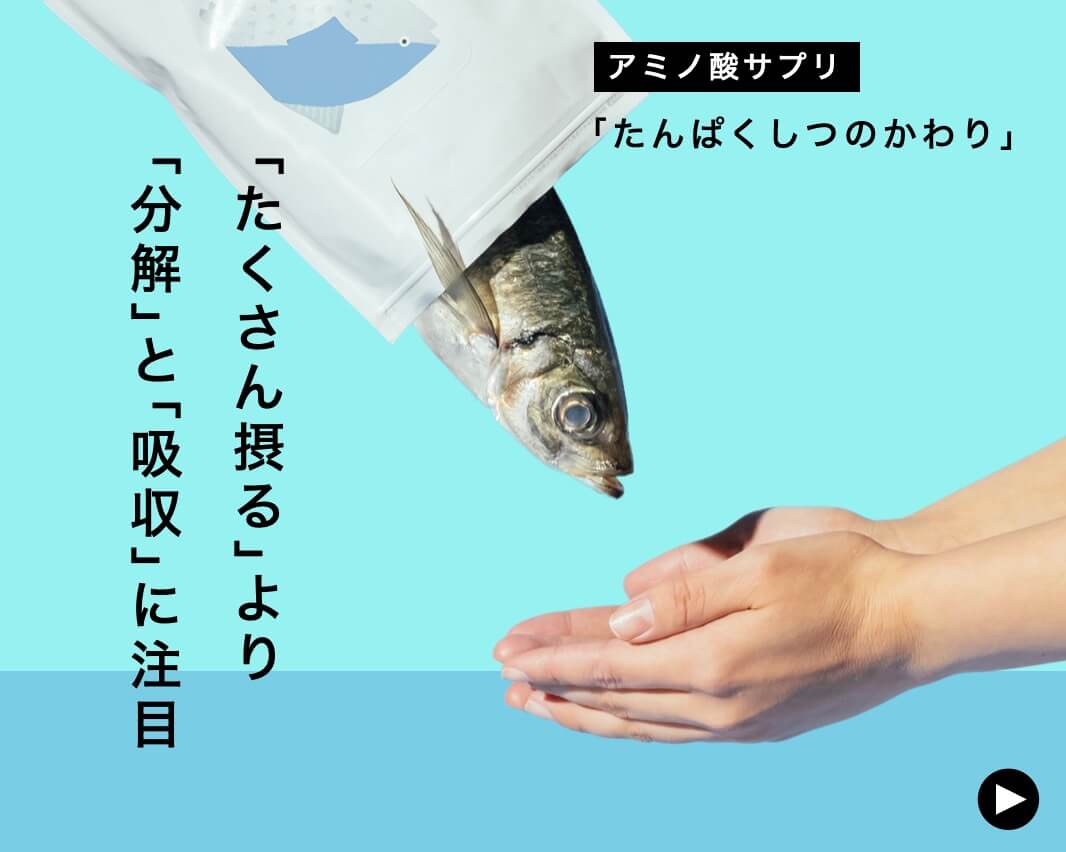 タンパク質サプリかいふくりょくのかわり