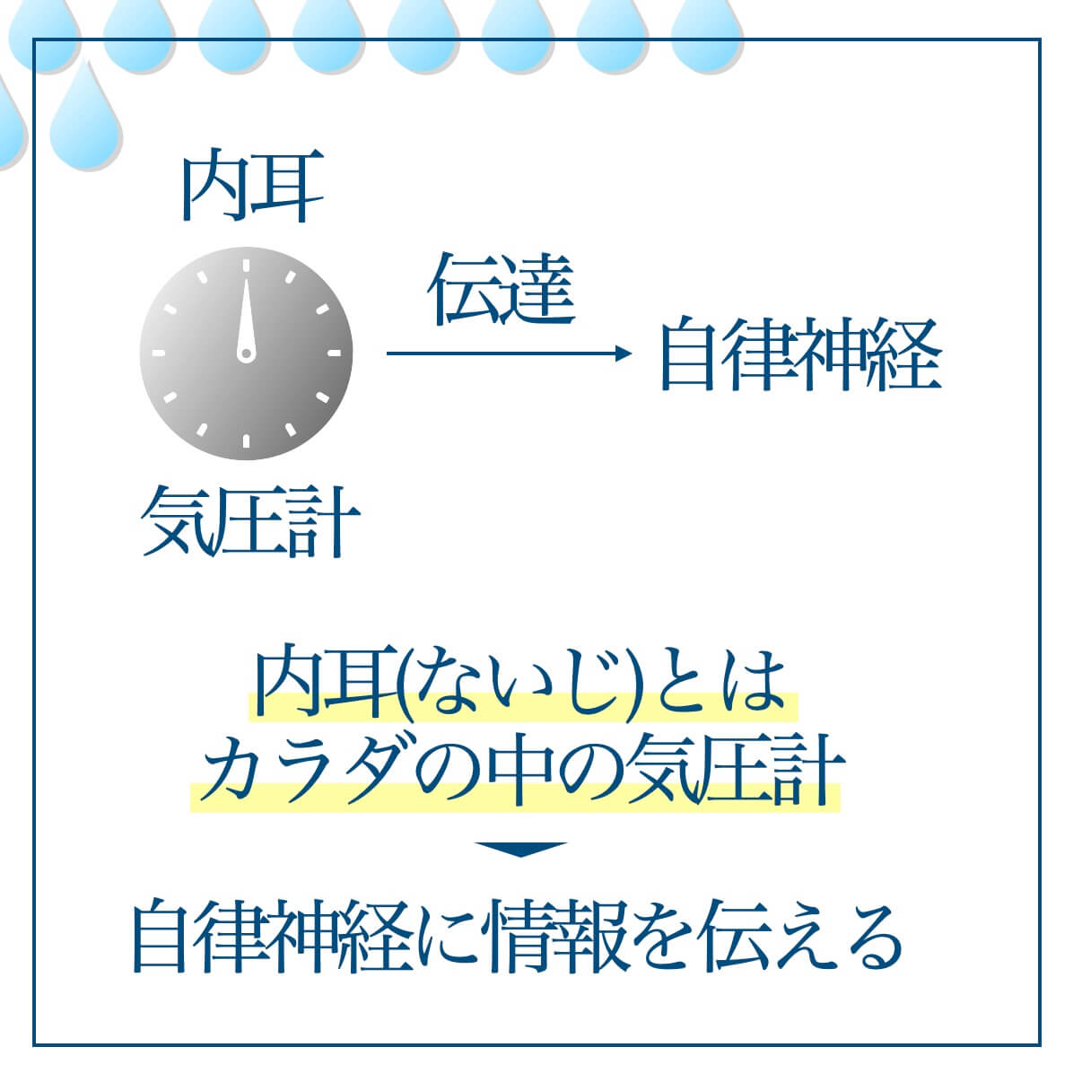 内耳が自律神経に情報を伝える