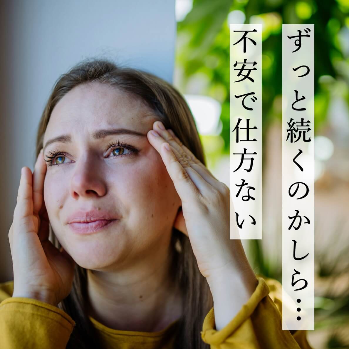 アルファコイル SA 自律神経・不眠症改善に！　取扱説明書等　付属品完備 自律神経サプリ【定期便】抗酸化＋マグネシウム | 《公式》オアディスワン