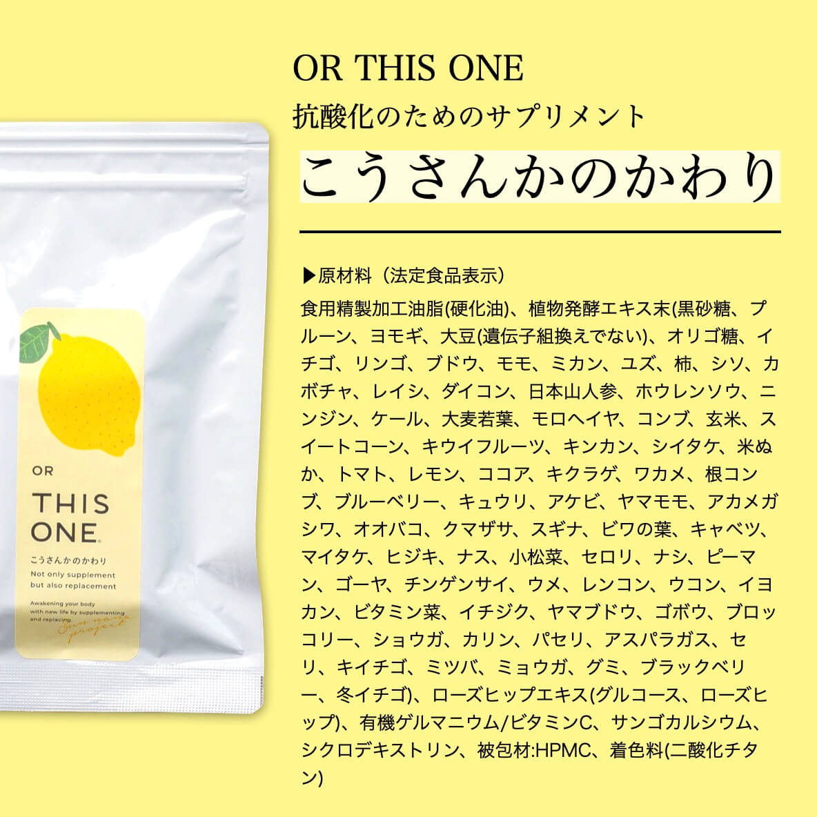 プログラムのサプリの説明