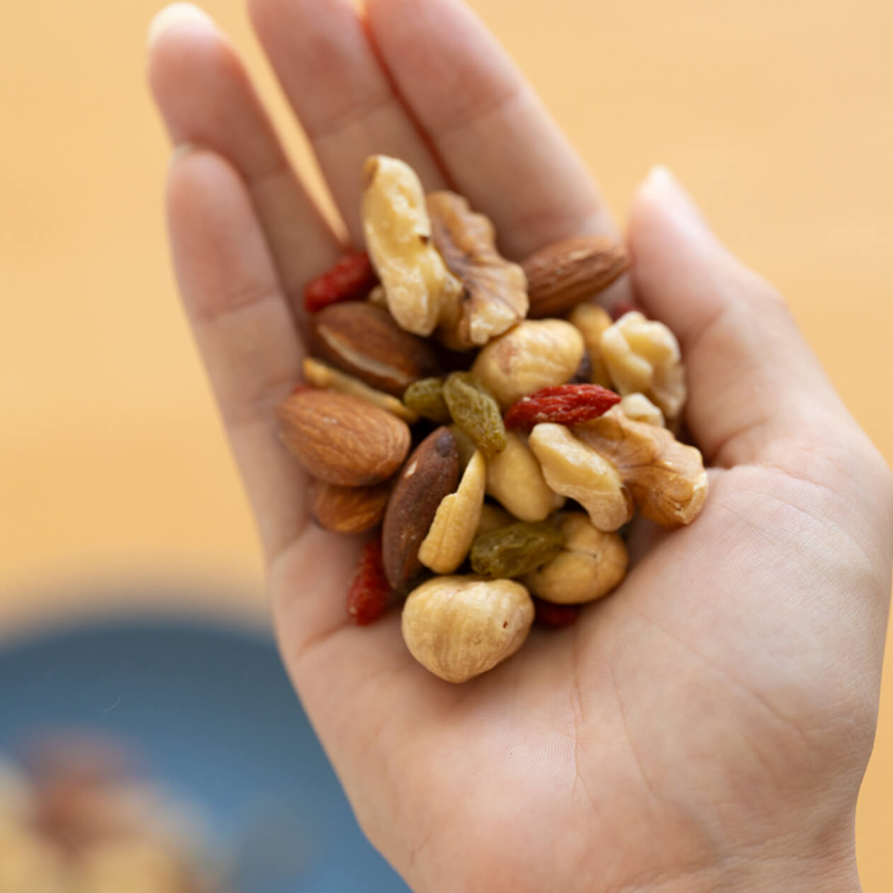 オアディスワンのナッツを手に乗せている