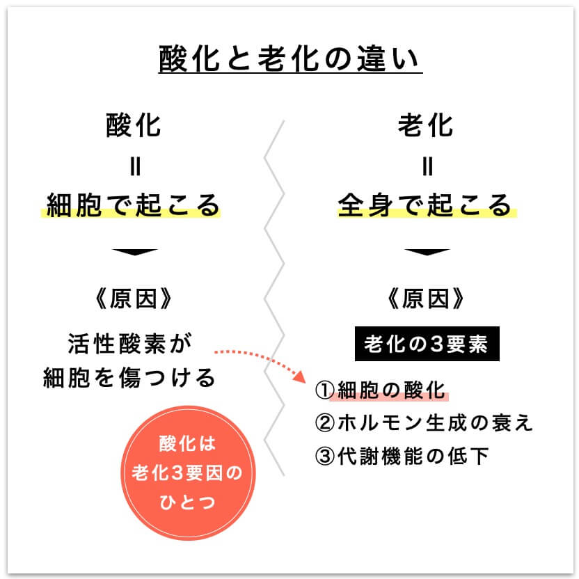 老化と酸化の違いを説明