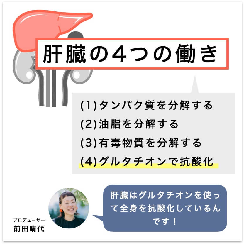 カラダの何となくの不調の原因は肝臓疲労