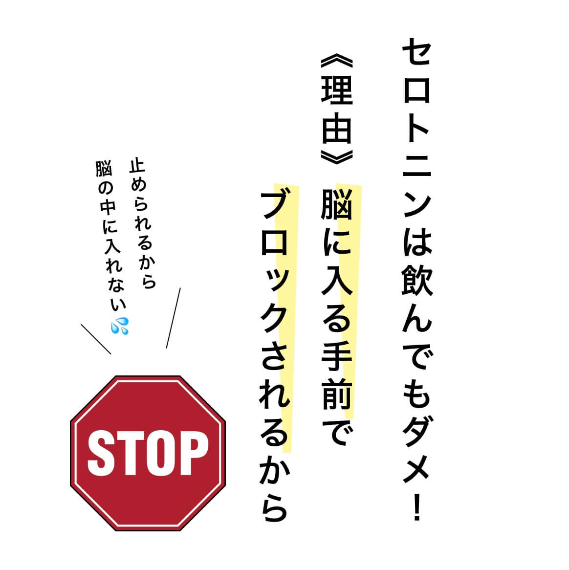 セロトニンは飲んでも脳には届かない説明
