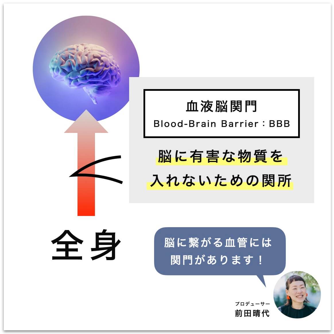 血液脳関門についての説明の図
