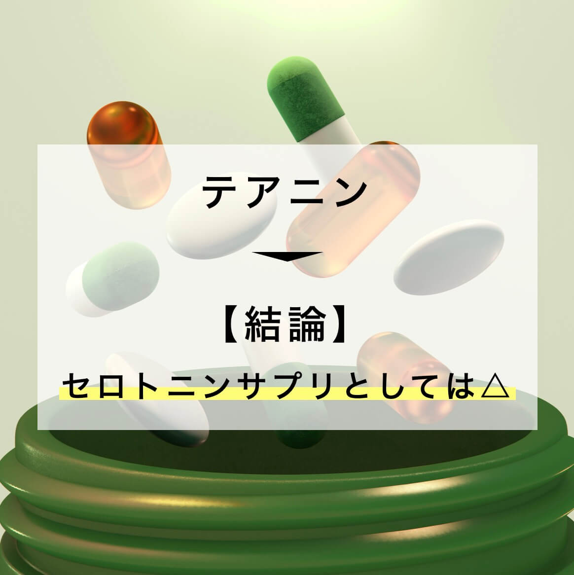 テアニンの説明の写真