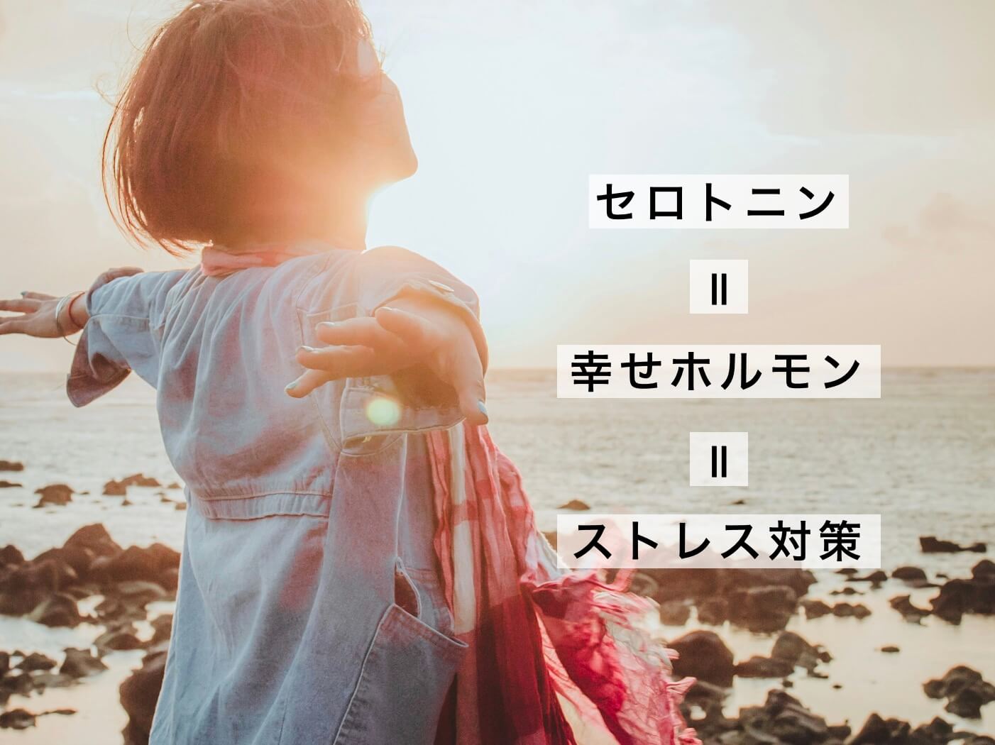 セロトニンとストレスの関係を示した図
