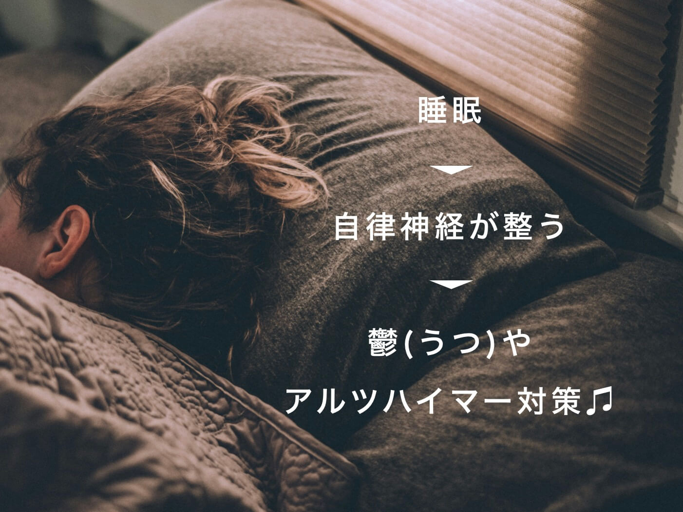 睡眠と自律神経の関係の図