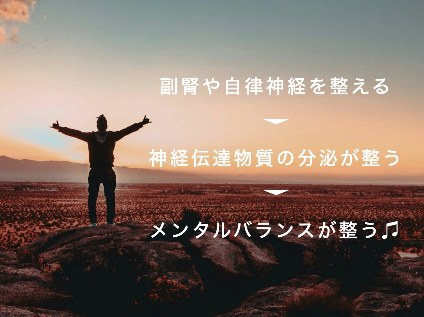 副腎と自律神経をケアするとメンタルもケアできる図