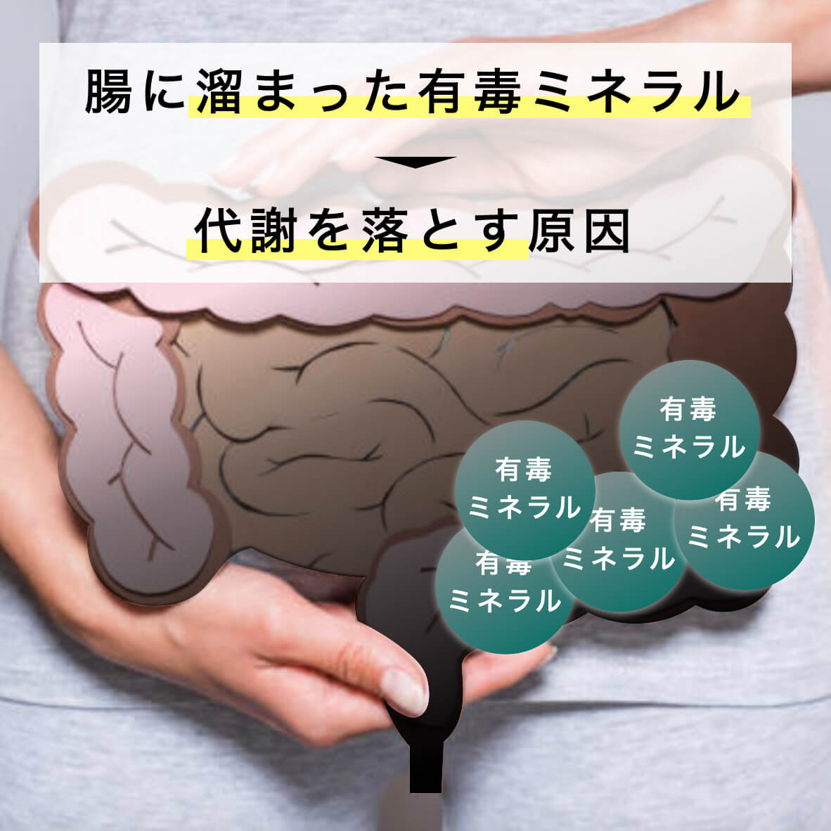 腸内に溜まった有害物質を出す