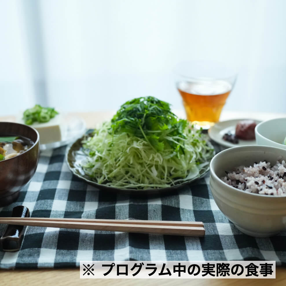 プログラム中の食事内容