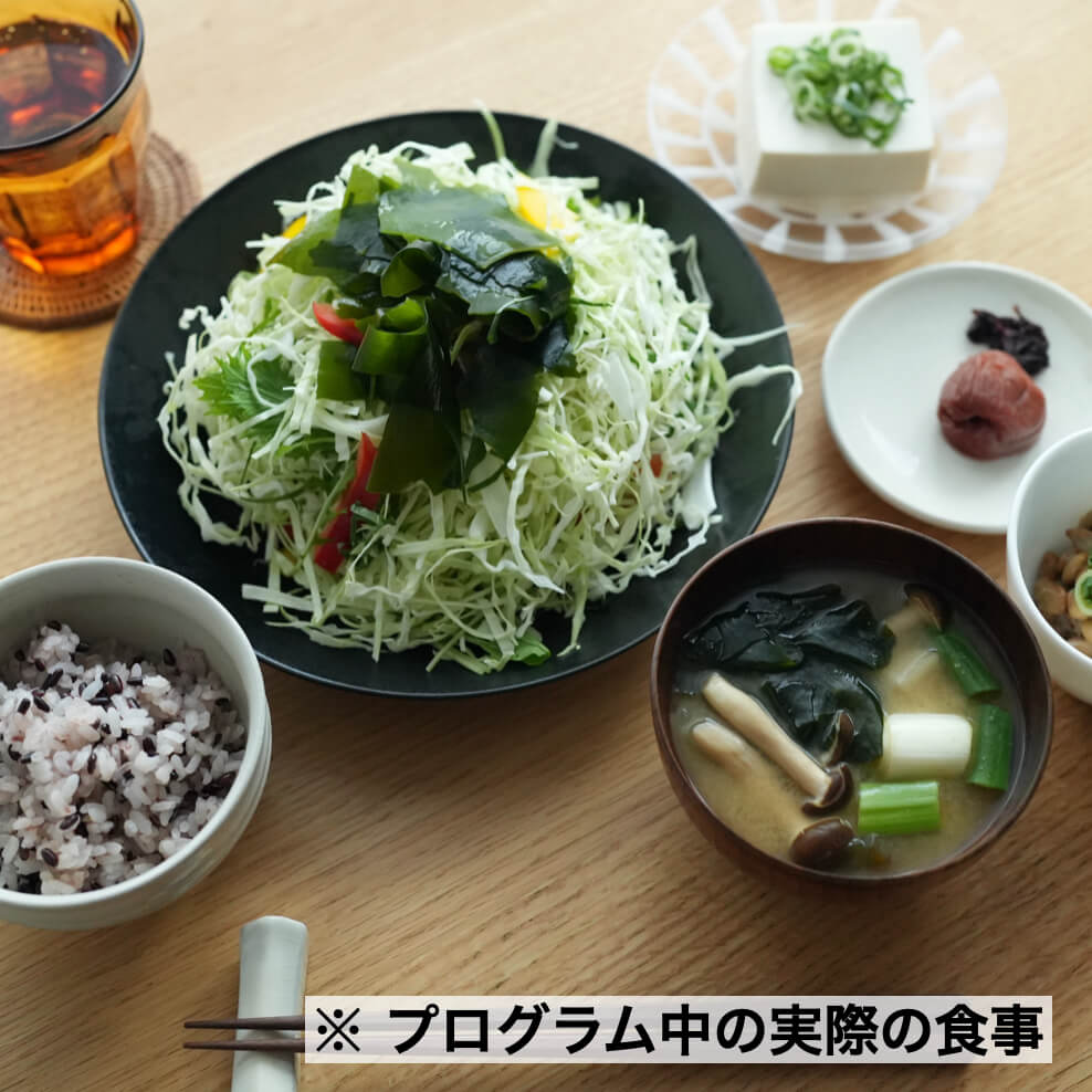 プログラム中の食事内容