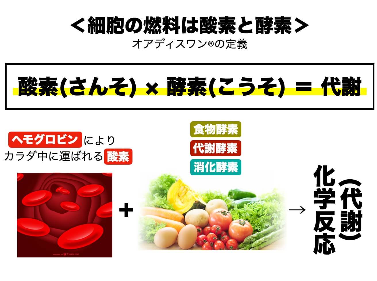 細胞で肌を生まれ変わらせるには酸素が必要