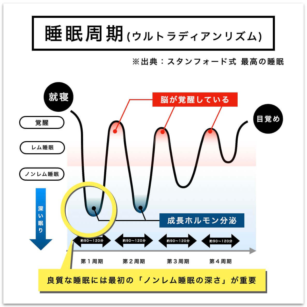 睡眠の波と寝初めの関係の説明