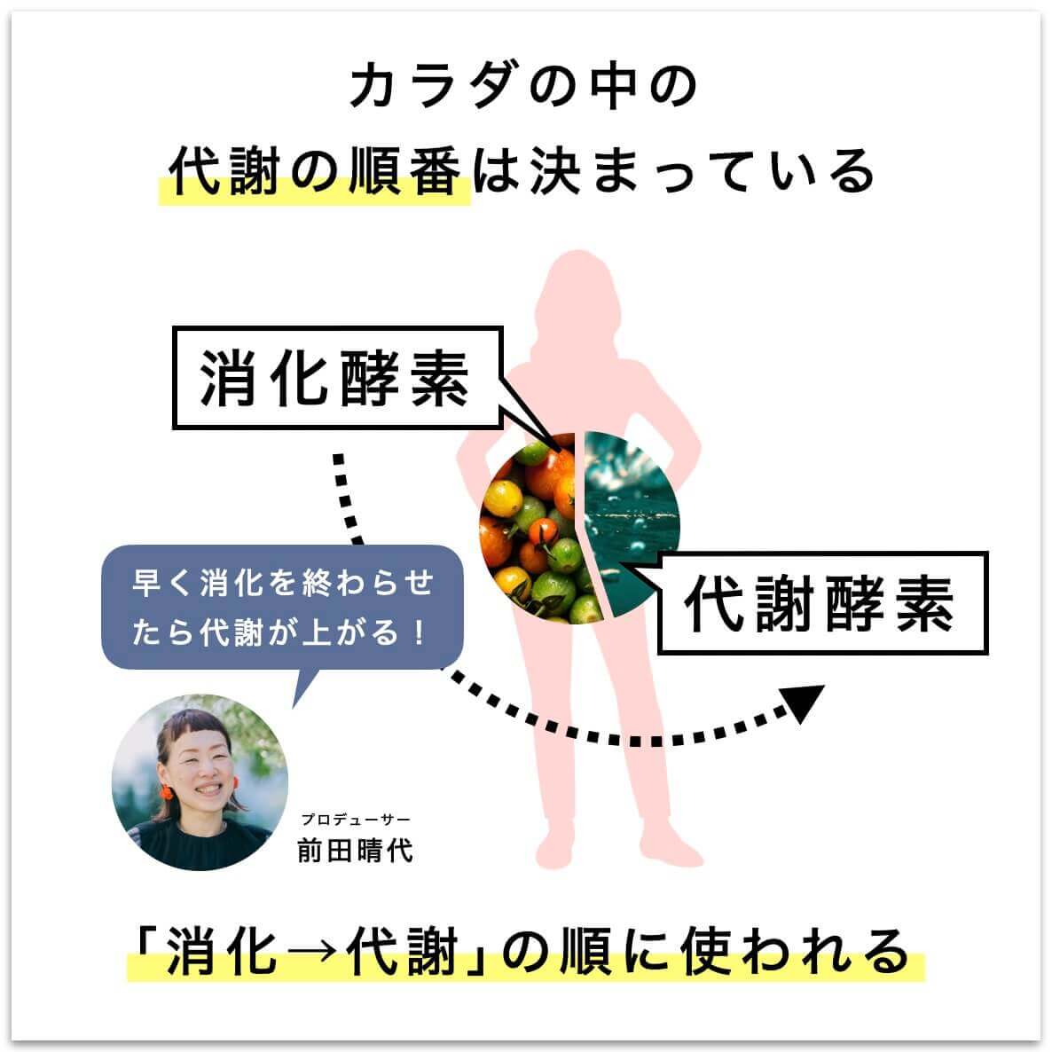 カラダで起こる代謝の順番の説明