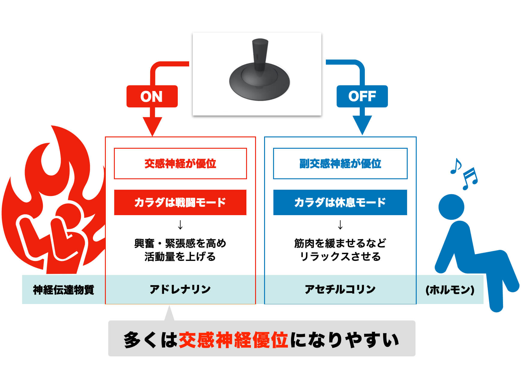 自律神経の乱れで肩こりが起こる理由