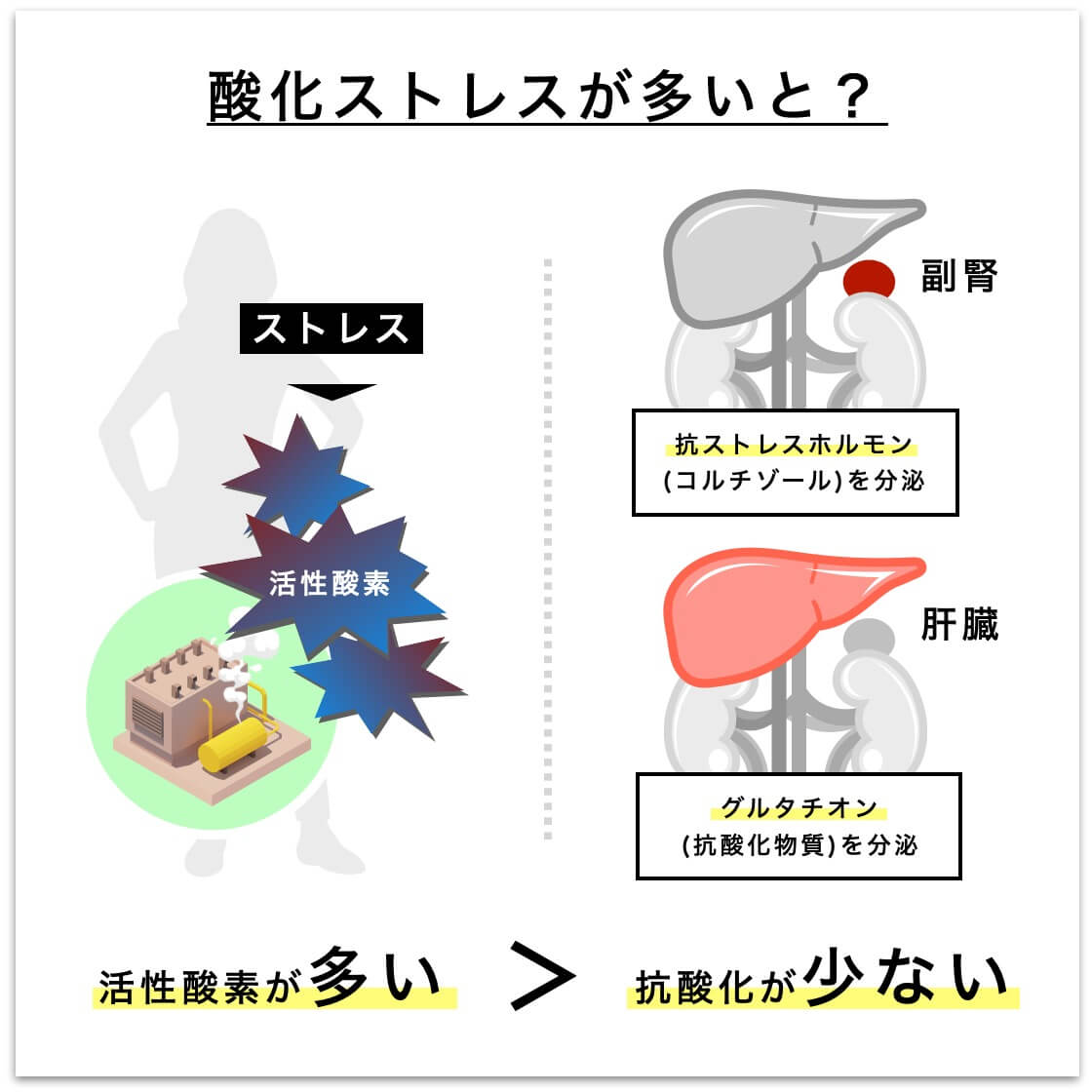 酸化ストレスが多いと活性酸素がふえる