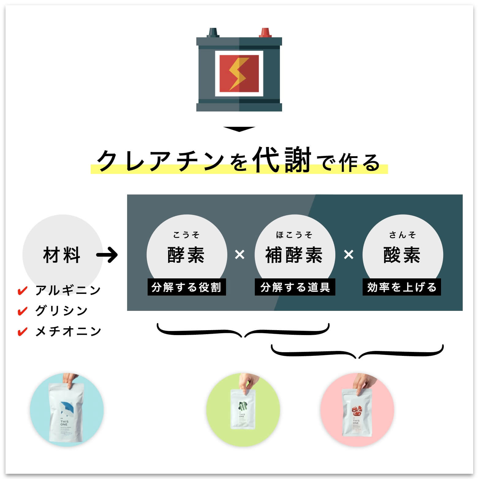 体内でクレアチンを作るにはの説明