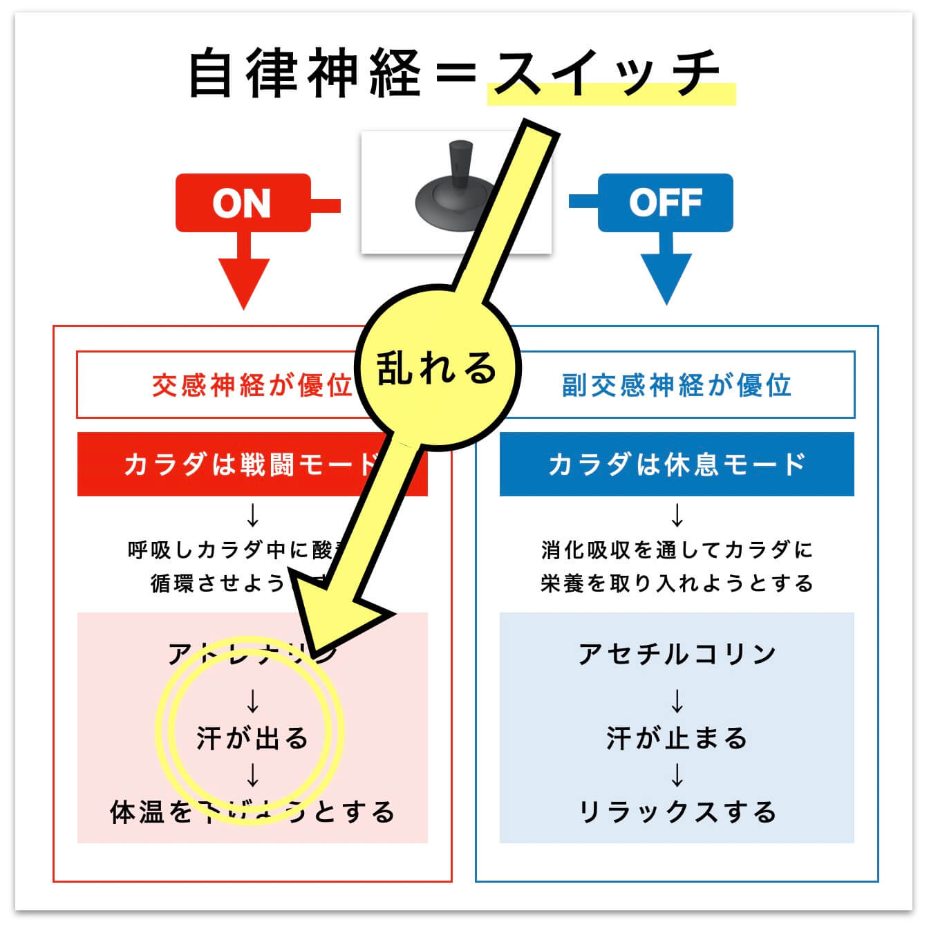 自律神経＝スイッチ　乱れが汗につながる