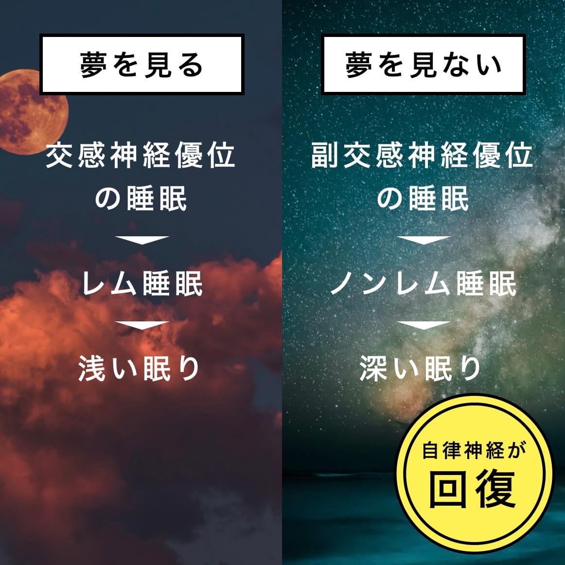 夢を見る見ないで自律神経の回復が変わる