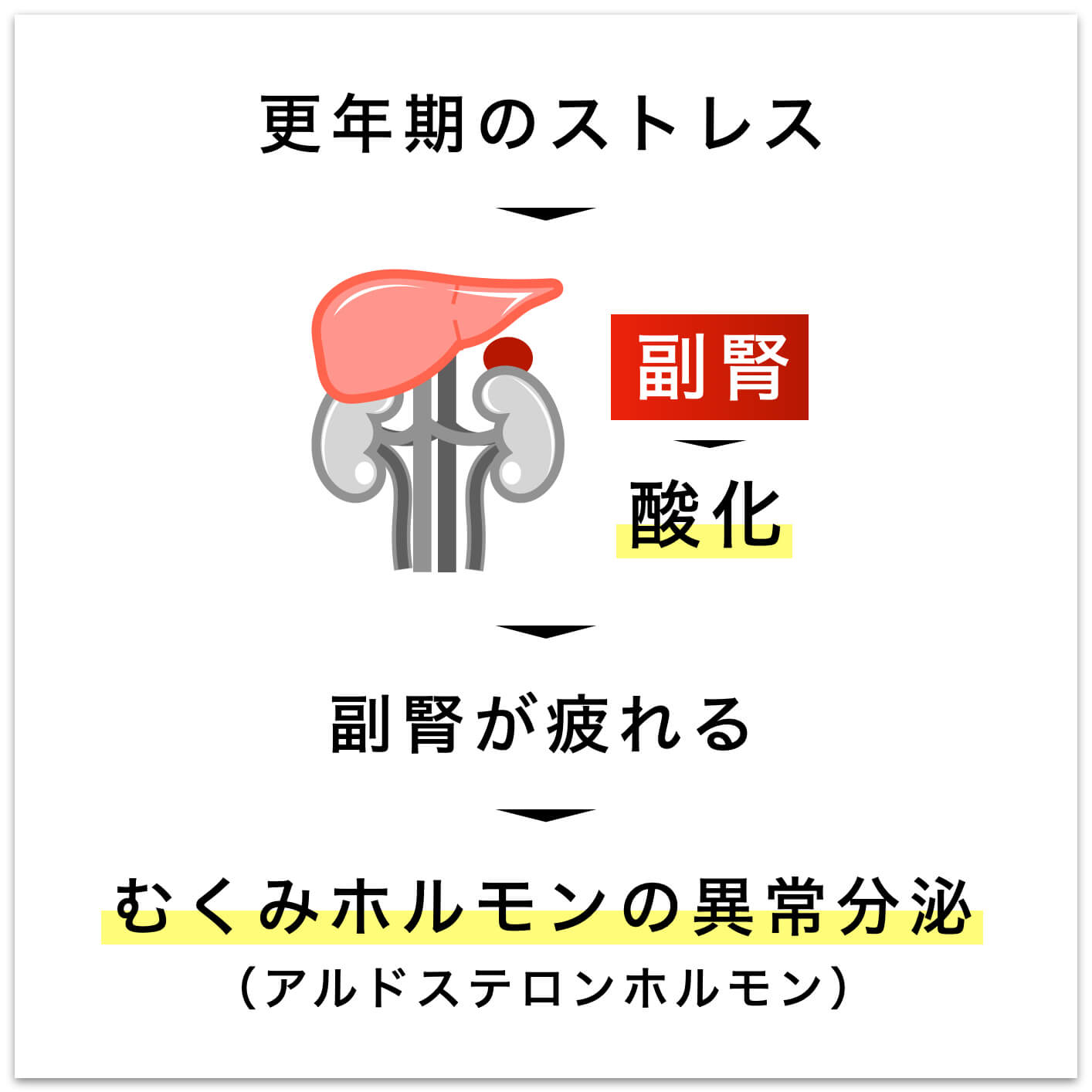 副腎が酸化すると不調がおこる