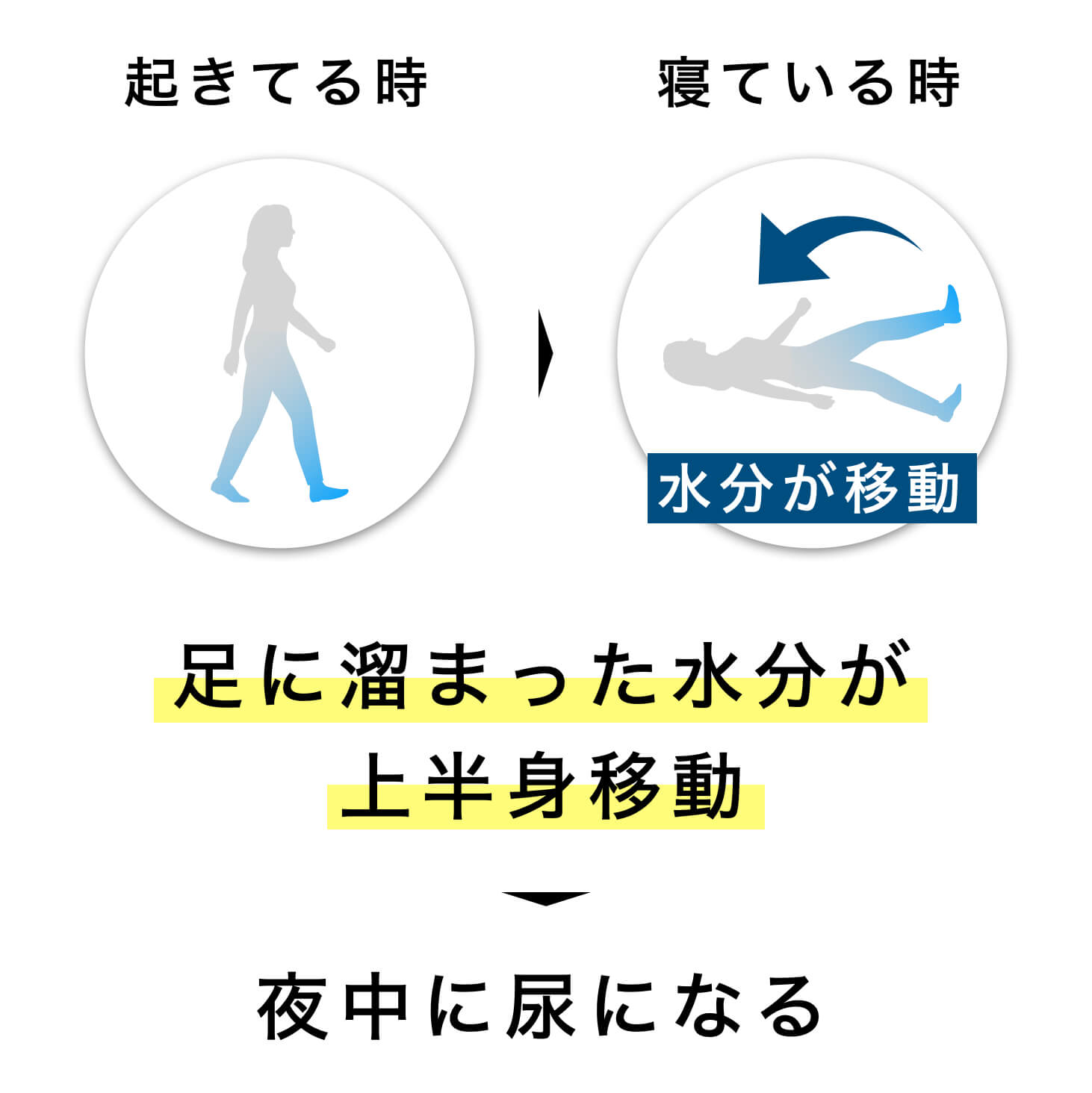 更年期は下半身むくみで夜トイレに行きたくなる