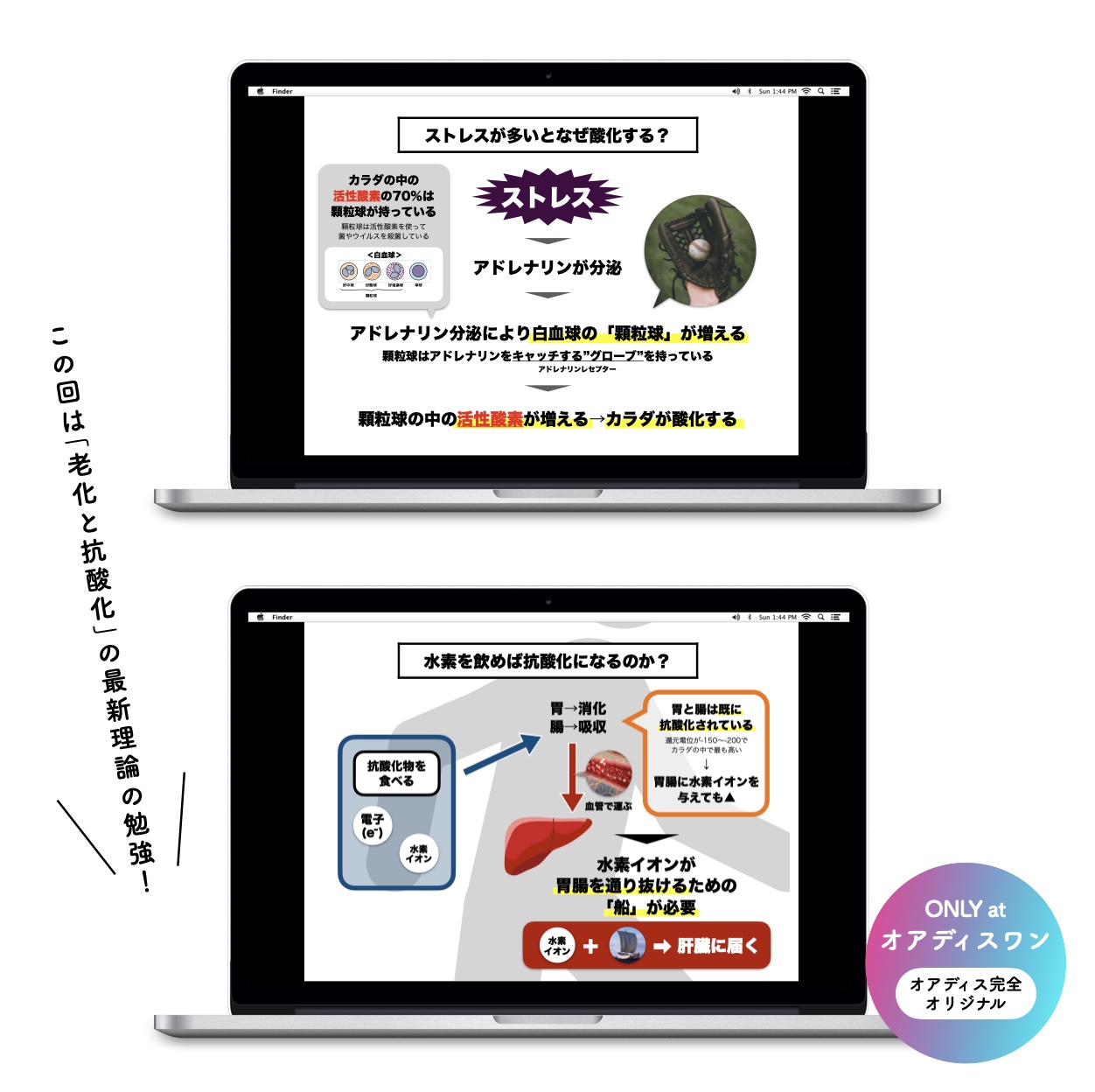 オアディスワンのセレクトナッツ定期便のイメージ