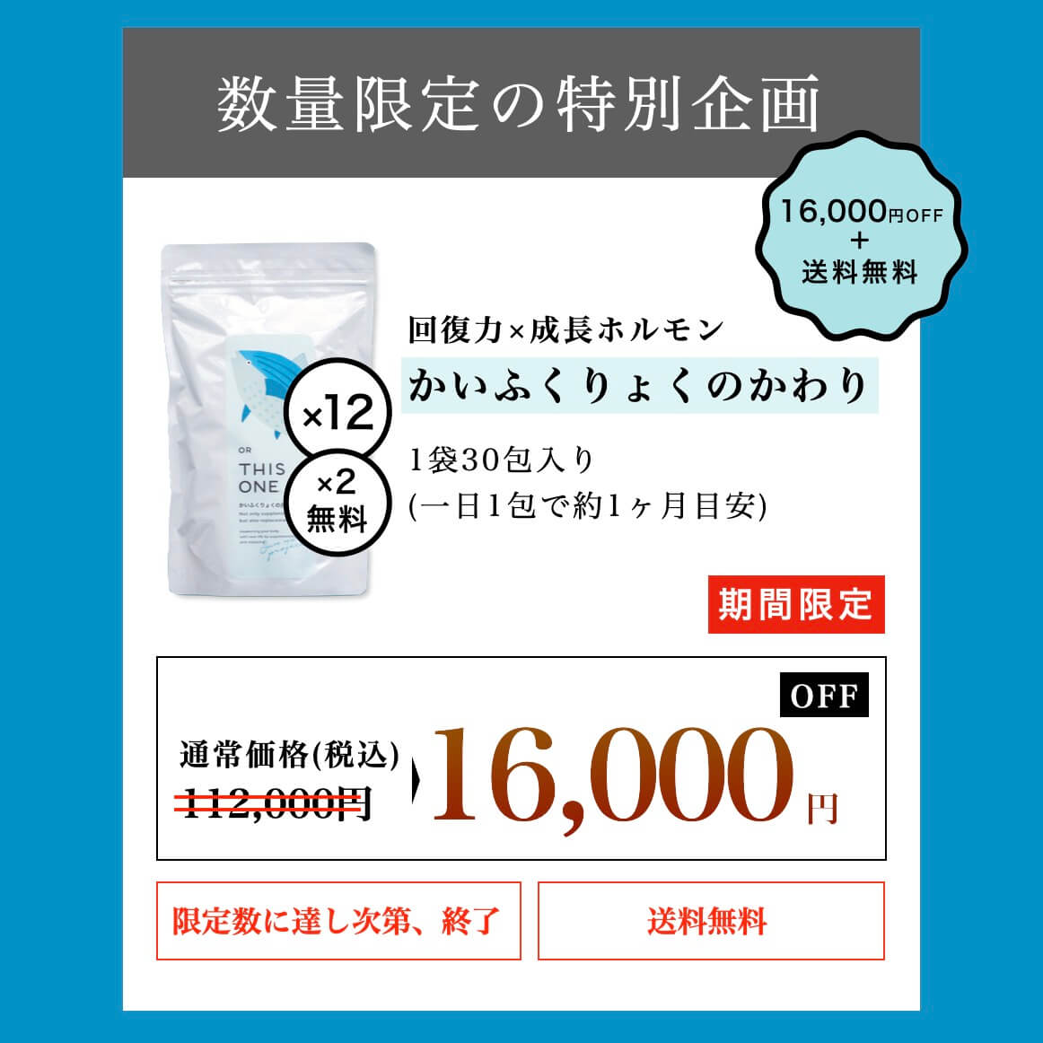 1年間セットの特別価格