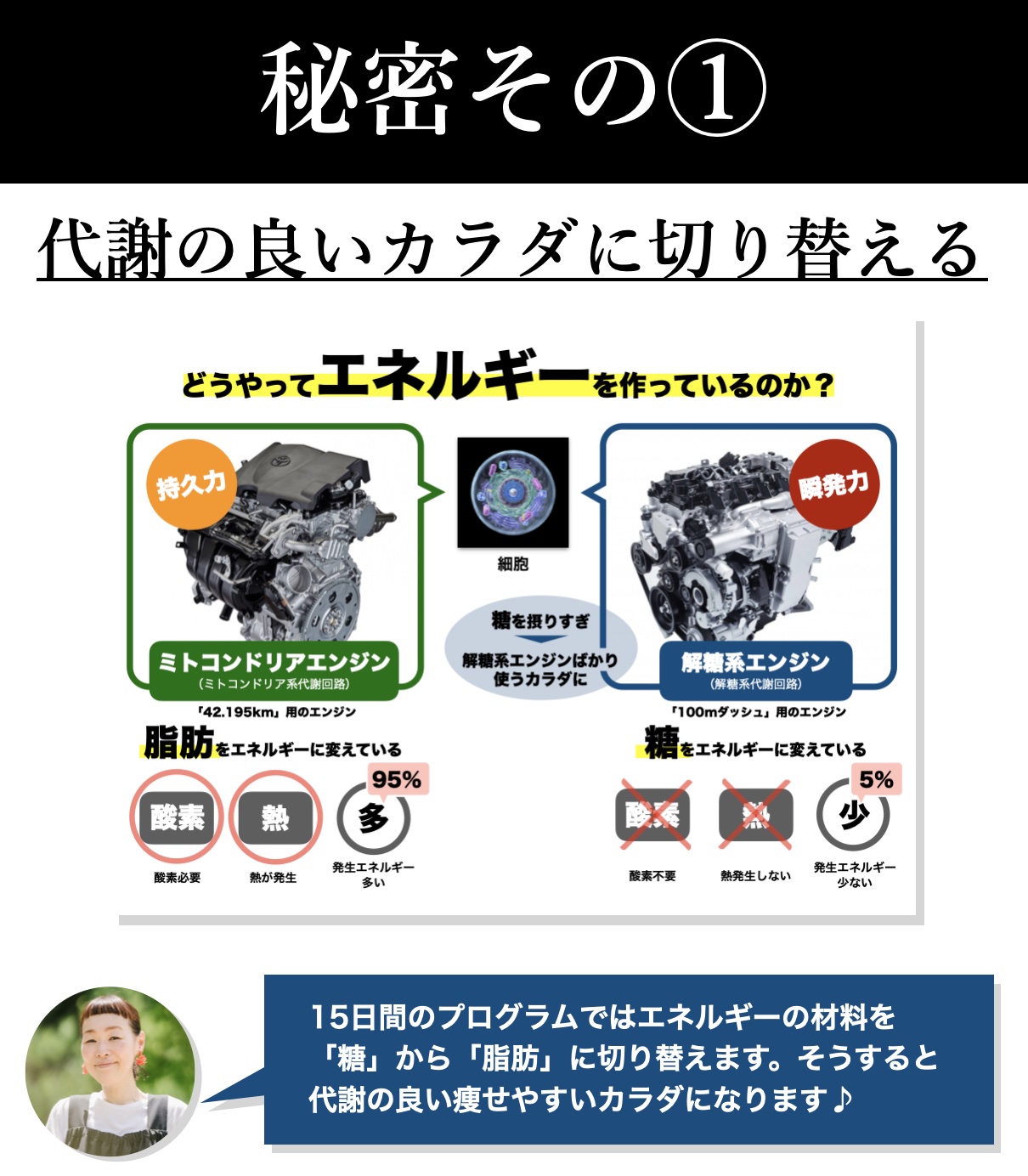 大人のダイエットに重要な代謝を上げる方法を説明している資料